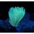 Aragonite Eugui -very fluorescent- M03032